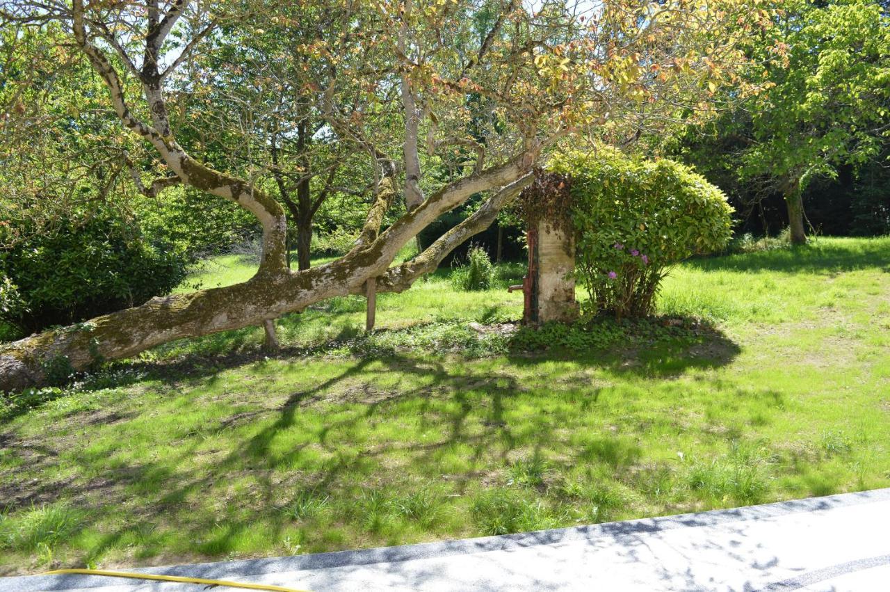Maison Typique - Tres Grand Jardin - 7km De La Fontaine-Henry